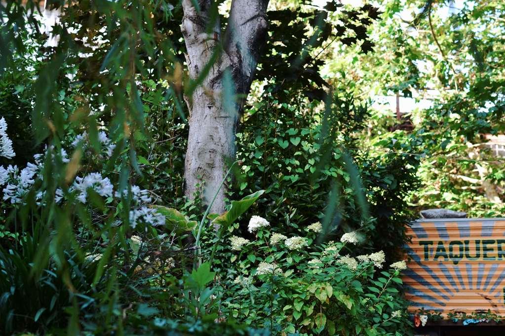 Palacio De Aviles Affiliated By Melia Restaurant billede The tree in 2014